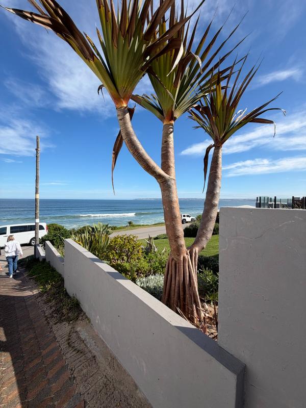 0 Bedroom Property for Sale in Reebok Western Cape